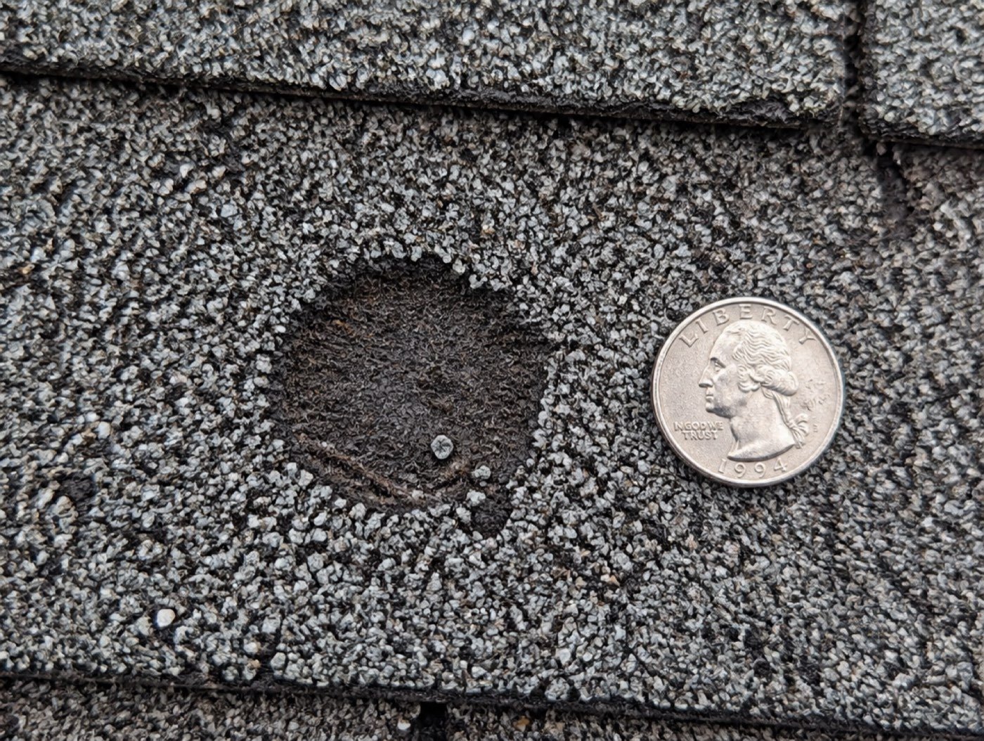Close-up of hail damage on an asphalt shingle: a round bruise with the granules knocked away, a coin beside it for scale.